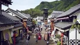 Tokyo One Day Pass / Afternoon Pass