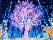 Ashikaga Flower Park Ticket | Tochigi