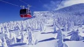 Ishiuchi Maruyama Ski Resort Ropeway 1-Day Pass | Niigata