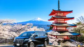 Tokyo Private Charter Day Tour | Tokyo/Fuji/Hakone/Kamakura