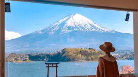 Tokyo Private Charter | Tokyo/Fuji/Hakone/Kamakura/Izu/Nikko/Narita
